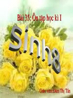 Giáo án điện tử môn môn sinh học: hình động các loại chim pot