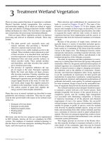 TREATMENT WETLANDS - CHAPTER 3 potx