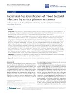 Báo cáo sinh học: 