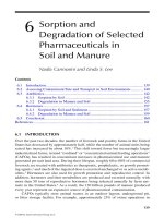 Fate of Pharmaceuticals in the Environment and in Water Treatment Systems - Chapter 6 pptx