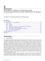 ENVIRONMENTAL RESTORATION of METALSCONTAMINATED SOILS - CHAPTER 2 potx