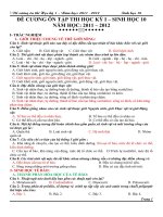 DE CUONG ON THI HOC KY I SH 10 2011 docx