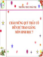 Giáo án điện tử môn môn sinh học: các loại tôm sông pot