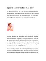 Bạn nên nhuộm tóc theo màu nào? pdf