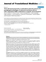 báo cáo hóa học: