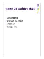 bài giảng hóa sinh chương 1 sinh học tế bào và hóa sinh