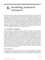 Sediment and Contaminant Transport in Surface Waters - Chapter 6 potx
