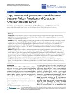 Báo cáo hóa học: 