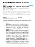 báo cáo hóa học: