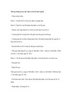 Thủ tục đăng ký lại việc sinh có yếu tố nước ngoài docx