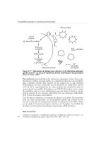 Susceptibilités génétiques et expositions professionnelles - part 5 doc