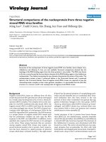 Báo cáo sinh học: 