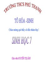 Giáo án điện tử môn môn sinh học: sự đa dạng của lớp nhện_2 docx