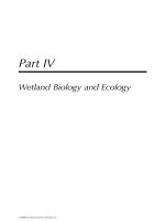 WETLAND AND WATER RESOURCE MODELING AND ASSESSMENT: A Watershed Perspective - Chapter 13 potx