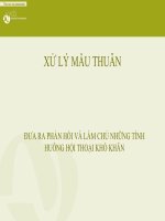 Xu ly mau thuan docx