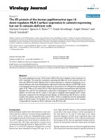 Báo cáo sinh học: 