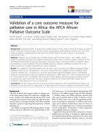 báo cáo hóa học: 