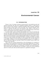 Environmental Life Cycle Costing - Chapter 15 (end) pptx