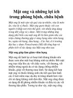 Mật ong và những lợi ích trong phòng bệnh, chữa bệnh docx