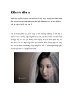 Kiểu tóc kiêu sa pptx