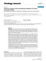 Báo cáo sinh học: 