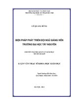 Biện pháp phát triển đội ngũ giảng viên trường đh tây nguyên