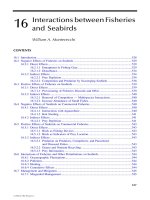 Biology of Marine Birds - Chapter 16 docx