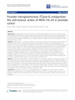 Báo cáo sinh học: 