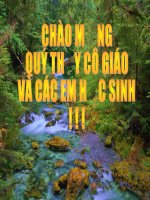 Giáo án điện tử môn môn sinh học: sự đa dạng của lớp thú_1 pdf