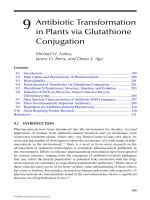 Fate of Pharmaceuticals in the Environment and in Water Treatment Systems - Chapter 9 docx