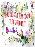 Bài giảng điện tử môn sinh học: Cây có hoa pot