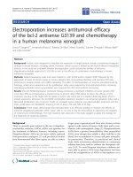 Báo cáo sinh học: 