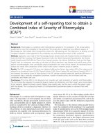 báo cáo hóa học: 