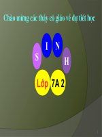 Bài giảng điện tử môn sinh học: loài châu chấu_2 docx