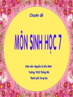 Bài giảng điện tử môn sinh học: sự đa dạng của cá ppt