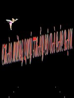 Bài giảng điện tử môn hóa học: Sắt_1 doc