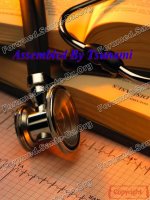 MALADIES INFECTIEUSES - PART 1 potx