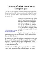 Từ xương hổ thành cao - Chuyện không đơn giản pot