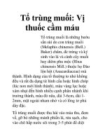 Tổ trùng muối: Vị thuốc cầm máu doc