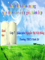 Giáo án điện tử môn môn sinh học: Một số giun tròn doc