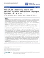 Báo cáo hóa học: 