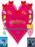 Bài giảng điện tử môn sinh học: sự phong phú của động vật docx