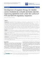 Báo cáo hóa học: 