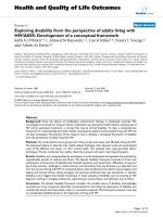 báo cáo hóa học: 