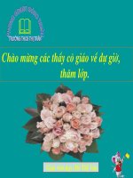 Giáo án điện tử môn môn sinh học: sự tiến hóa về sinh sản_1 ppt