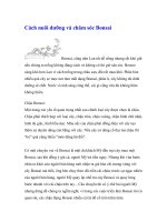 Cách nuôi dưỡng và chăm sóc Bonsai doc