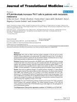 báo cáo hóa học: