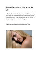 Cách phòng chống và chữa trị gàu tận gốc ppt