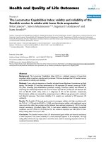 báo cáo hóa học: 