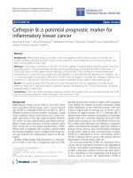 Báo cáo hóa học: 